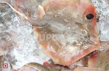 Load image into Gallery viewer, Longtail stingray / Thurakey Cut , 1 Kg