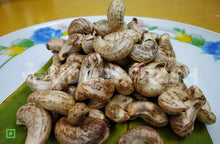 Load image into Gallery viewer, Tender Wet Cashew 100 pc