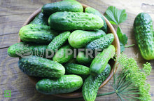 Load image into Gallery viewer, Snacky Mini Cucumber , 200 g