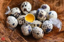 Load image into Gallery viewer, Quail Egg 12 Pcs