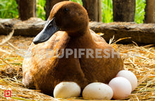 Load image into Gallery viewer, Duck Egg 6 Pcs