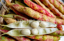Load image into Gallery viewer, Butter Beans, 1 kg