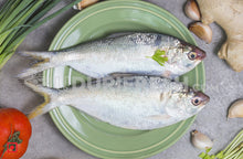 Load image into Gallery viewer, Hilsa / Ilish Fish 1 Kg