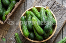 Load image into Gallery viewer, Snacky Mini Cucumber , 200 g