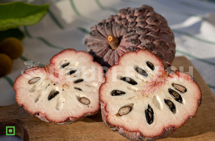 Red Custard Apple Annona reticulata 1 Kg UDUPI FRESH