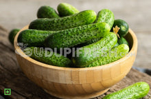 Load image into Gallery viewer, Snacky Mini Cucumber , 200 g