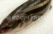 Load image into Gallery viewer, Melu, Cobia 1Kg