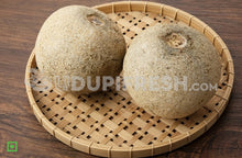 Load image into Gallery viewer, Big Limonia Acidissima / Wood Apple , 1 PC