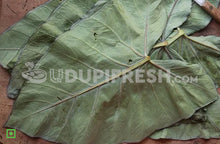 Load image into Gallery viewer, Patra Leaf, Mara kesu 10 Nos