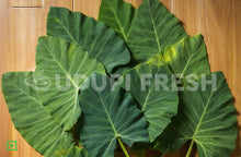 Load image into Gallery viewer, Patra Leaves 10 pc