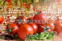 Load image into Gallery viewer, Tomato/ಟೊಮೆಟೊ - 1 Kg (5559645733028)