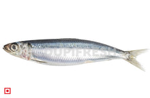 Load image into Gallery viewer, Bhuthai – (Sardine) Medium (10 count) (5550975320228)