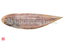 Load image into Gallery viewer, Nang – Sole Fish/ನಾಂಗ್ ಮೀನು(1 Kg) Medium Size (5551521038500)