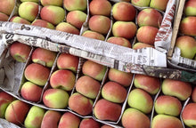 Load image into Gallery viewer, Apple Kashmir Mishri, 1 Kg