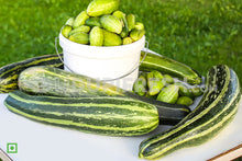 Load image into Gallery viewer, Krai Cucumber, 1 Kg