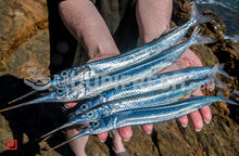 Load image into Gallery viewer, Konthi – Garfish/ಕೊಂತಿ ಮೀನು (500 gms) (5551360376996)