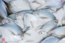 Load image into Gallery viewer, Maanji – White Pomfret( 1 Kg) Medium Size (5551456583844)