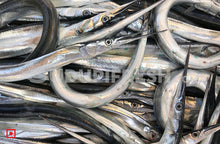 Load image into Gallery viewer, Konthi – Garfish/ಕೊಂತಿ ಮೀನು (500 gms) (5551360376996)