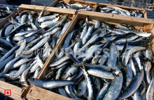 Load image into Gallery viewer, Bhuthai – (Sardine) Medium (10 count) (5550975320228)