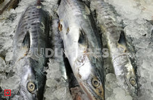 Load image into Gallery viewer, Big Anjal- Surmai, 3.5 Kg to 4 Kg