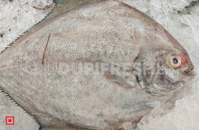 Load image into Gallery viewer, Maanji – Pomfret (500gms) (5551383019684)