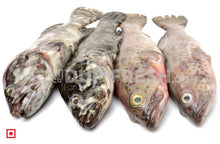 Load image into Gallery viewer, Muru – (Red Snaper)(1 kg) Medium Size (5551504982180)