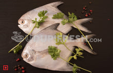 Load image into Gallery viewer, Maanji – White Pomfret( 1 Kg) Medium Size (5551456583844)