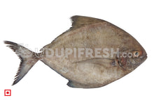 Load image into Gallery viewer, Maanji – Pomfret (500gms) (5551383019684)