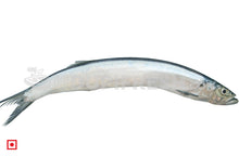 Load image into Gallery viewer, Silver Bar Fish / Karli, 1 Kg