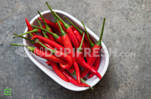 Load image into Gallery viewer, Thai chili, Bird's eye chili 250 g