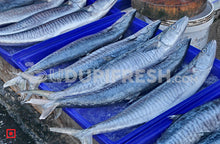 Load image into Gallery viewer, Anjal- Surmai/ಅಂಜಲ್ ಮೀನು/Big size , 1Kg (5550960148644)