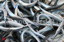 Load image into Gallery viewer, Konthi – Garfish/ಕೊಂತಿ ಮೀನು (500 gms) (5551360376996)