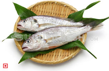 Load image into Gallery viewer, Kallur – Yellow Croaker(1 kg) (5551273083044)