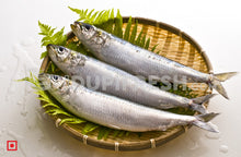 Load image into Gallery viewer, Bhuthai – (Sardine) Medium (10 count) (5550975320228)