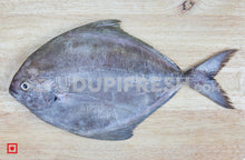 Load image into Gallery viewer, Maanji – Pomfret (500gms) (5551383019684)