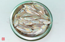 Load image into Gallery viewer, Silver – (Bolenjir) 1 Kg (5551562096804)