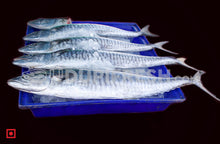 Load image into Gallery viewer, Anjal- Surmai/ಅಂಜಲ್ ಮೀನು/Big size , 1Kg (5550960148644)