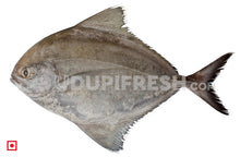 Load image into Gallery viewer, Maanji – Pomfret (500gms) (5551383019684)