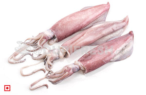 Bondas – Squid( 500 gms)Medium size (5550996979876)