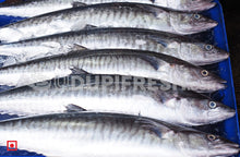 Load image into Gallery viewer, Anjal- Surmai/ಅಂಜಲ್ ಮೀನು/Big size , 1Kg (5550960148644)