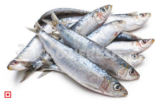 Load image into Gallery viewer, Bhuthai – (Sardine) Medium (10 count) (5550975320228)