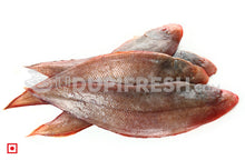 Load image into Gallery viewer, Nang – Sole Fish/ನಾಂಗ್ ಮೀನು(1 Kg) Big Size (5551523201188)