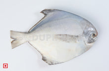 Load image into Gallery viewer, Maanji – White Pomfret( 1 Kg) Medium Size (5551456583844)