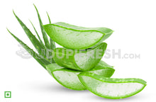 Load image into Gallery viewer, Fresh Aloe Vera Leaves
