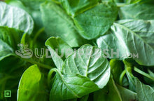 Load image into Gallery viewer, Amaranthus - Green, 250 g (5560462147748)