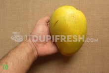 Load image into Gallery viewer, Banganapalle ( Benishan ) mango, 1 Kg
