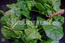 Load image into Gallery viewer, Basale Leaf Local Home Grown 400 to 500g (5778162188452)