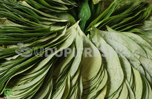 Load image into Gallery viewer, Betel Leaf/ವೀಳ್ಯದೆಲೆ, 5 pcs (5560396808356)