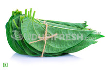 Load image into Gallery viewer, Betel Leaf/ವೀಳ್ಯದೆಲೆ, 5 pcs (5560396808356)