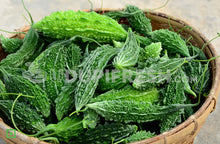Load image into Gallery viewer, Bitter Gourd/ಹಾಗಲಕಾಯಿ, 500 g (5560392974500)